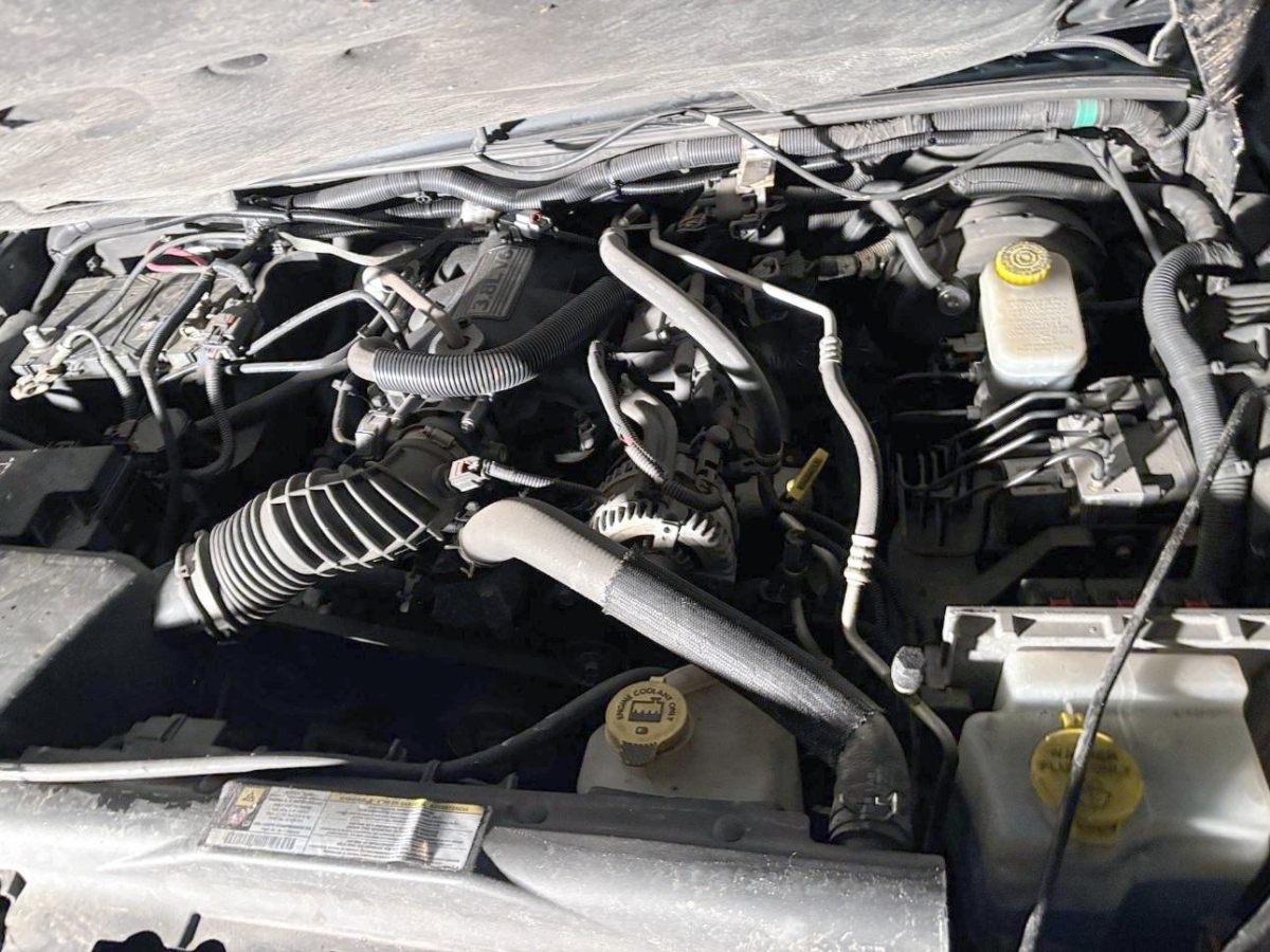 T12