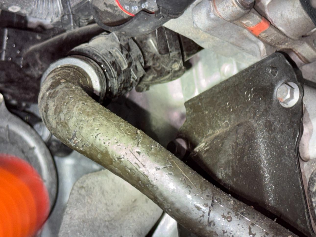 T12