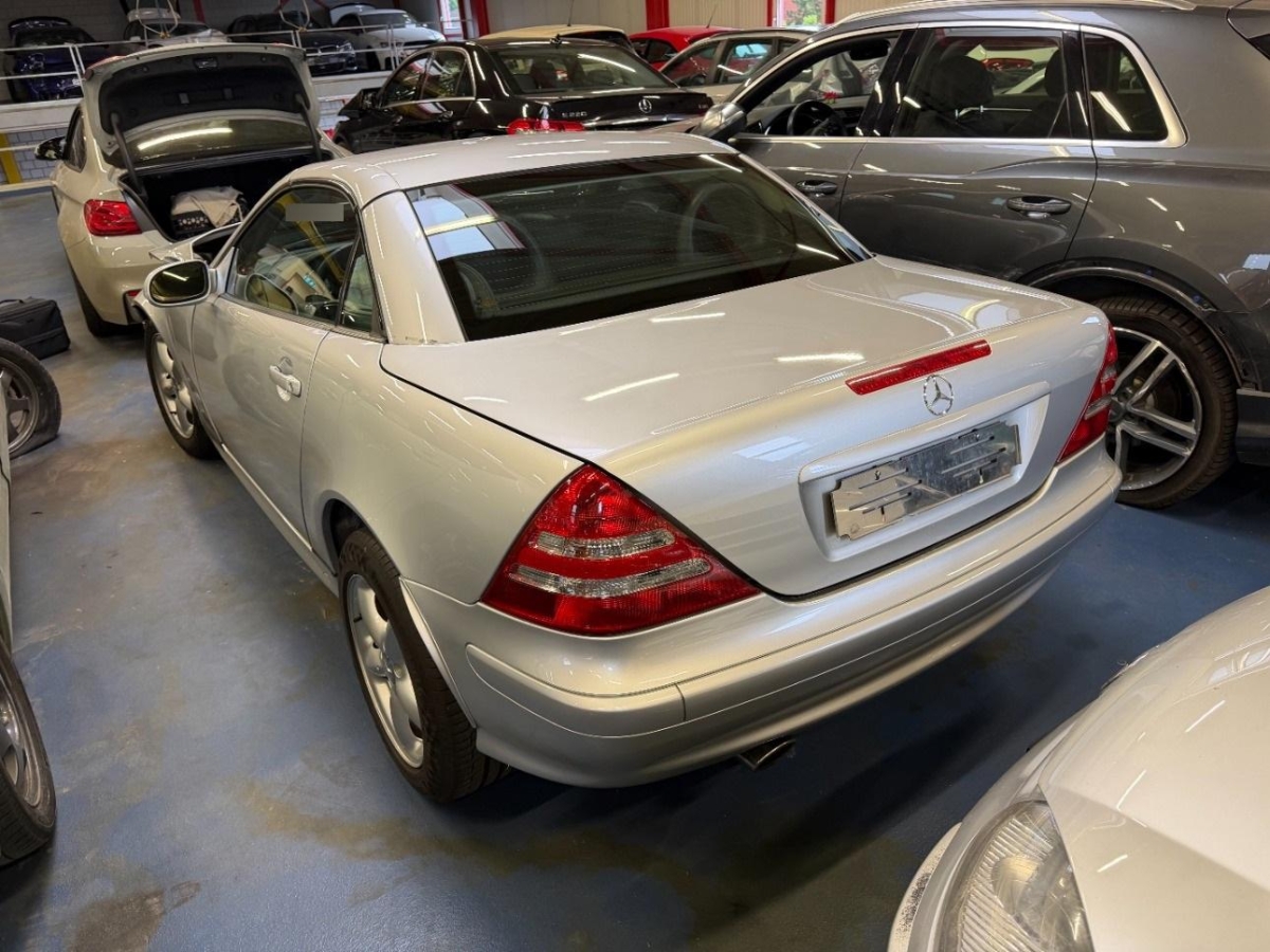 T6