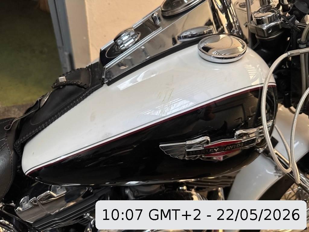 T13