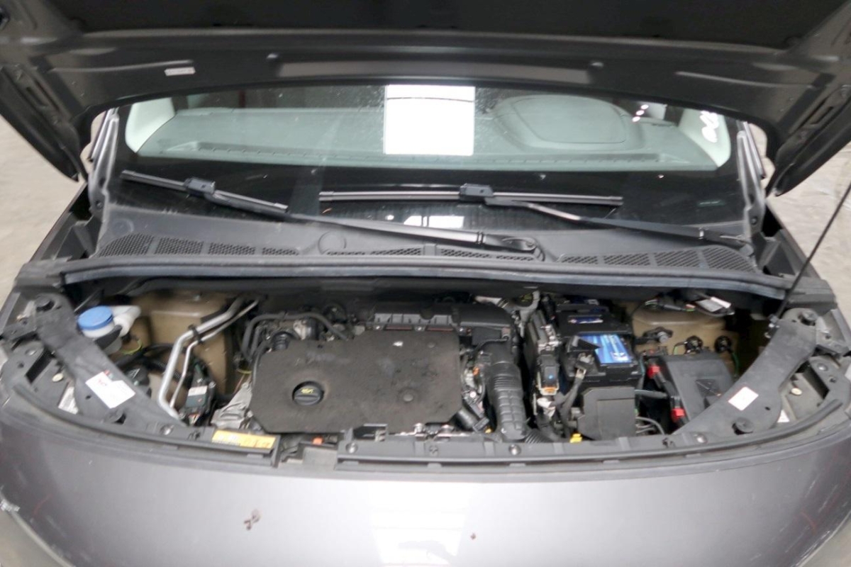 T13