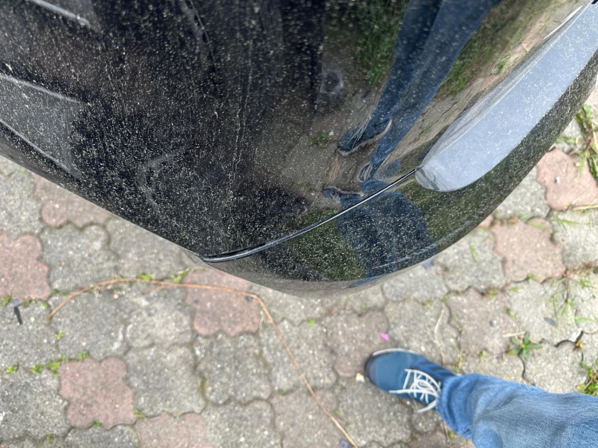 T18