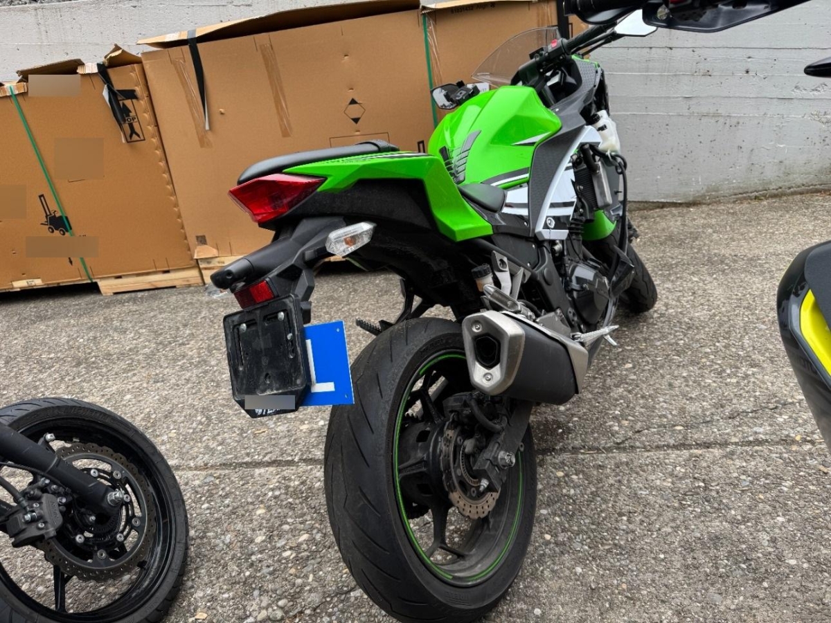 T6