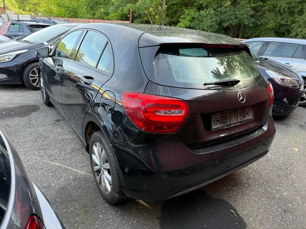 T5
