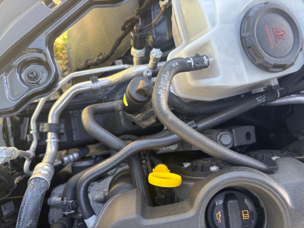 T10