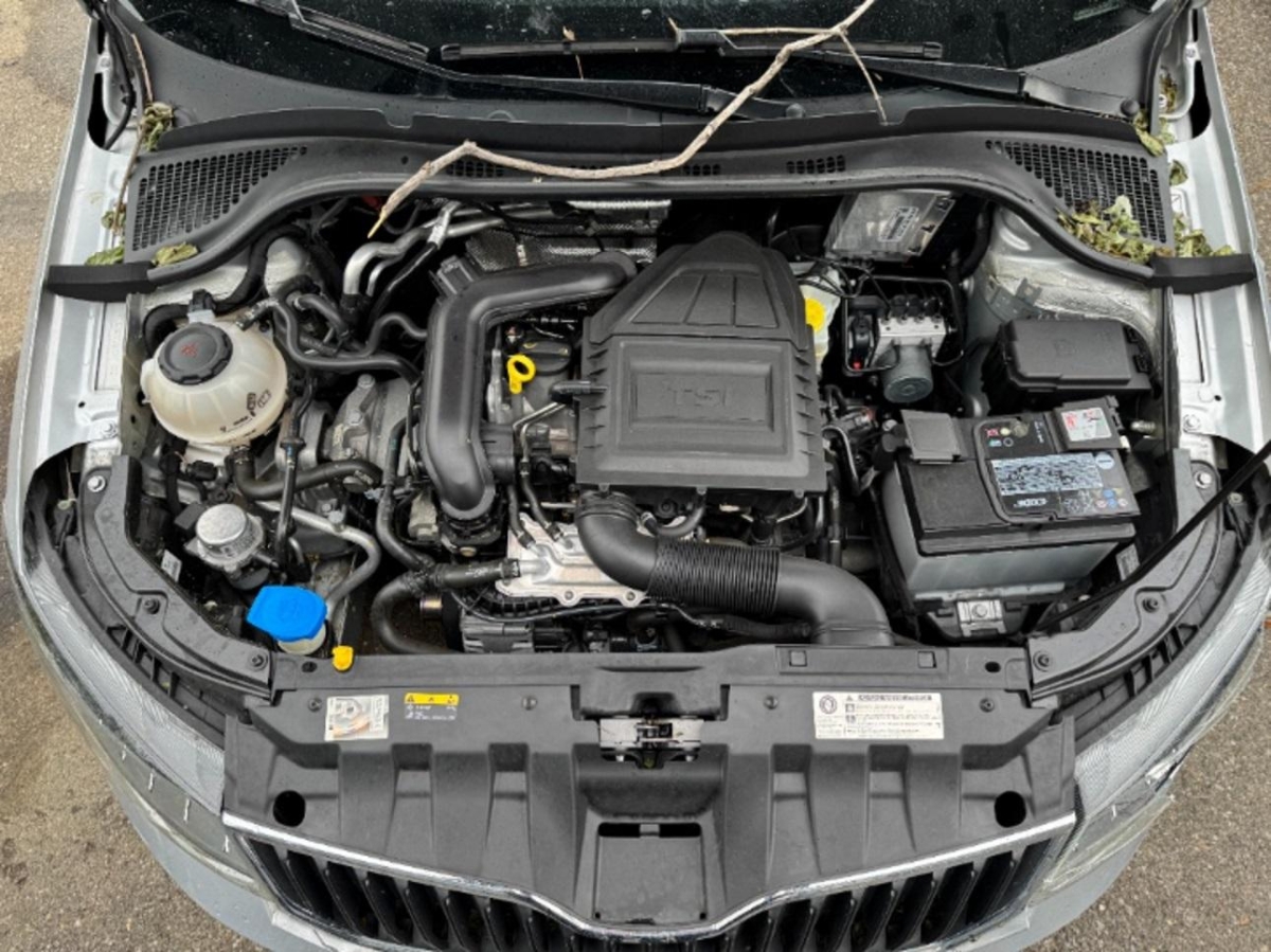 T11
