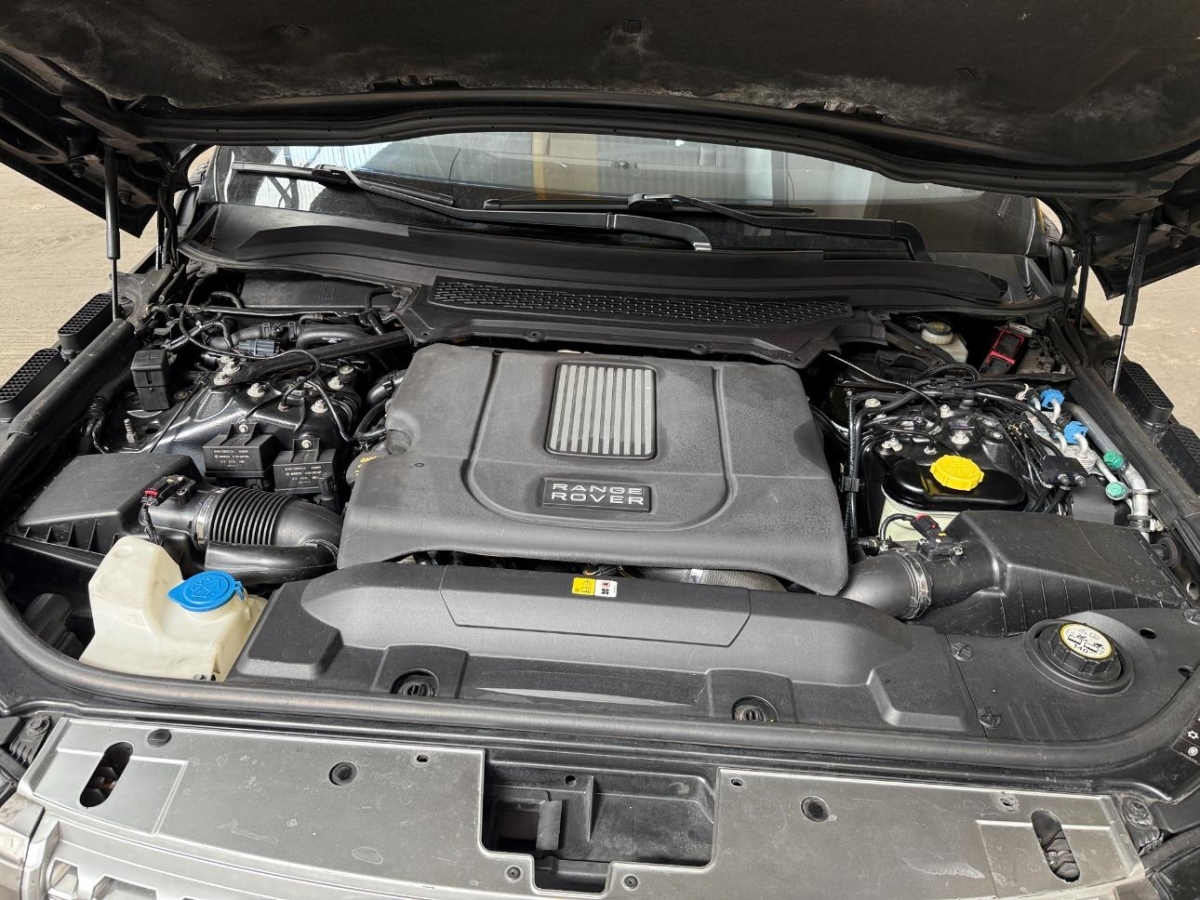 T11