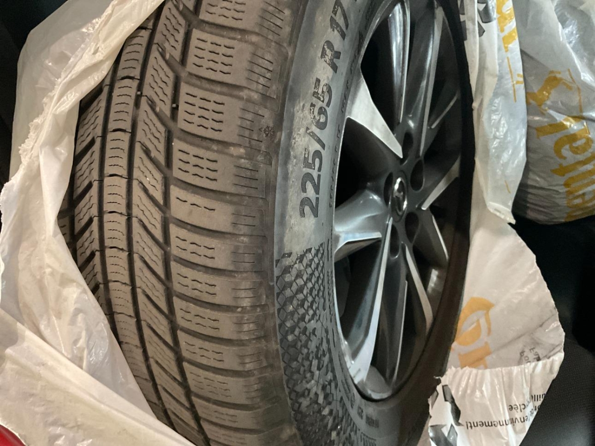 T16