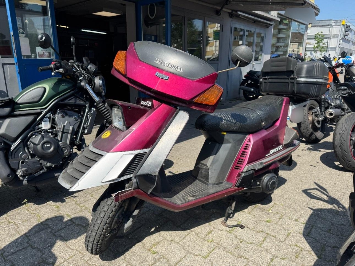 T5