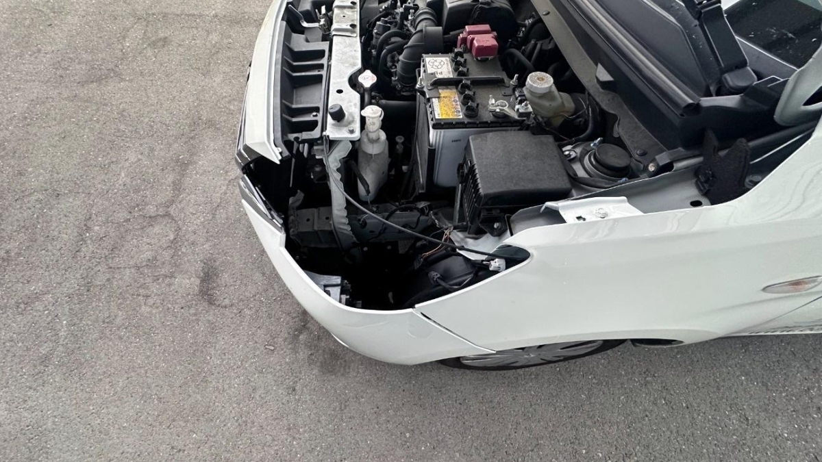 T13