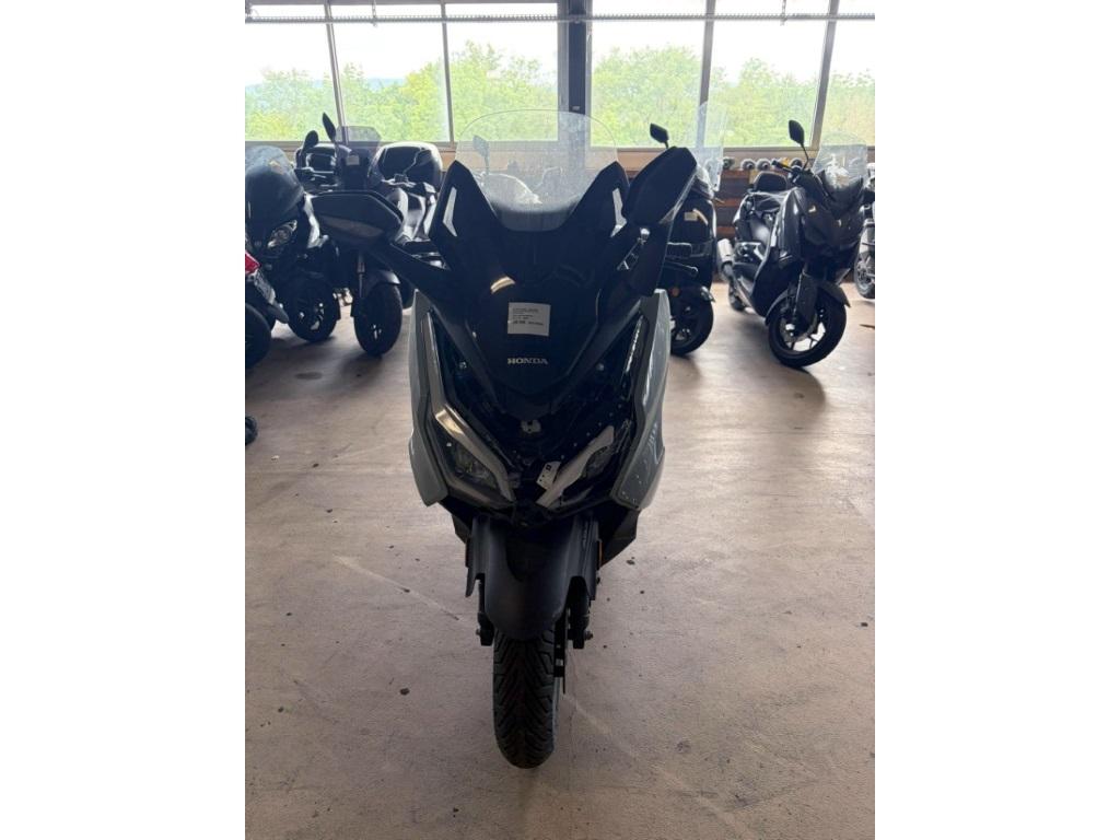T5