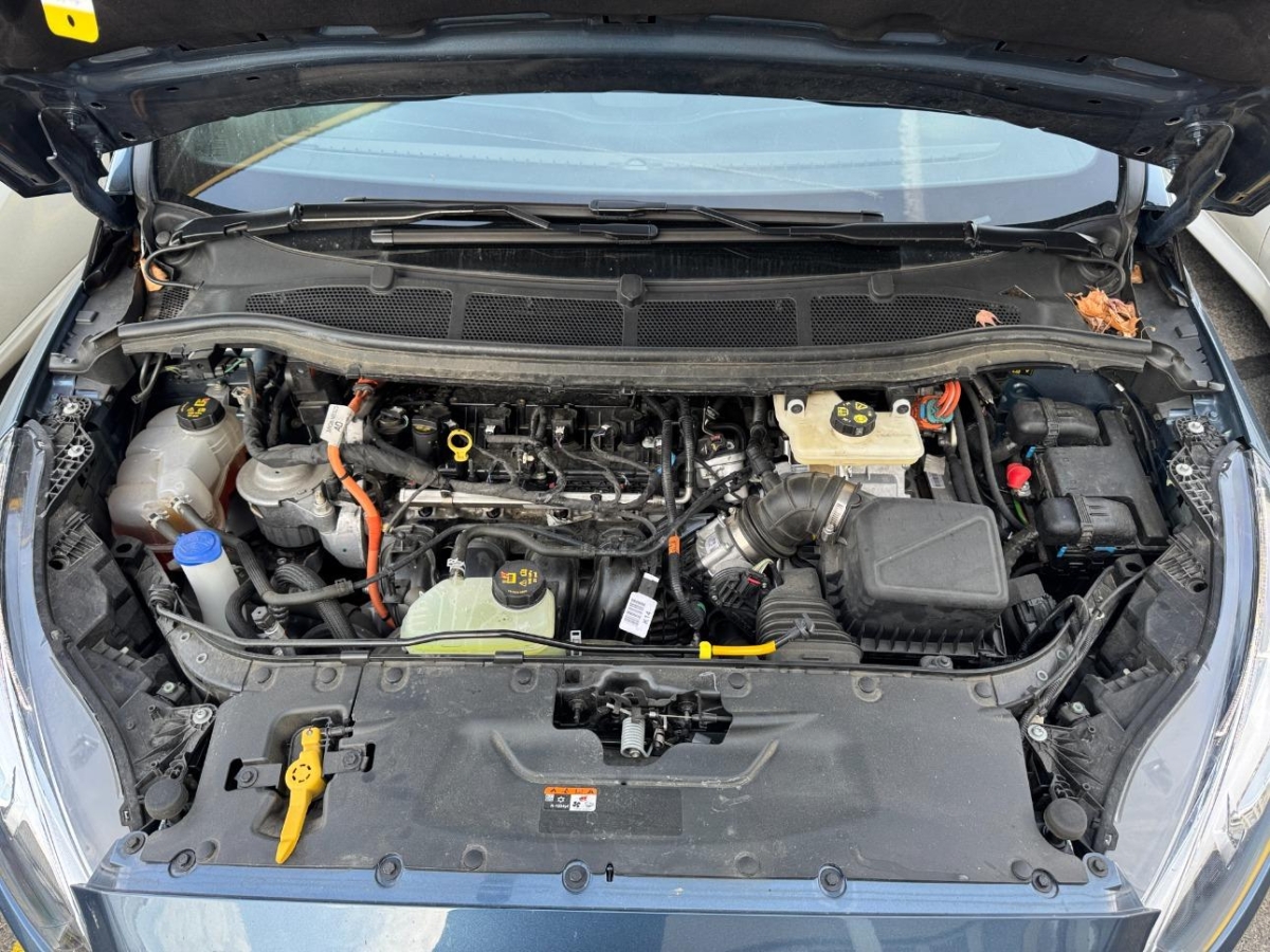 T11