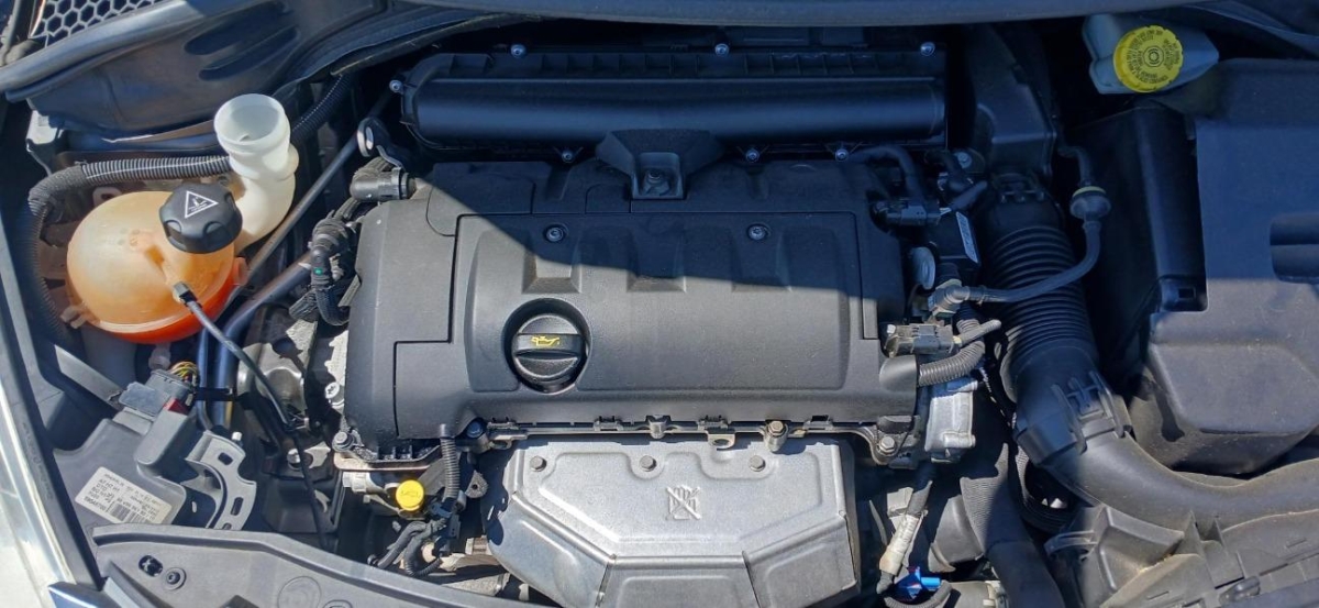 T13