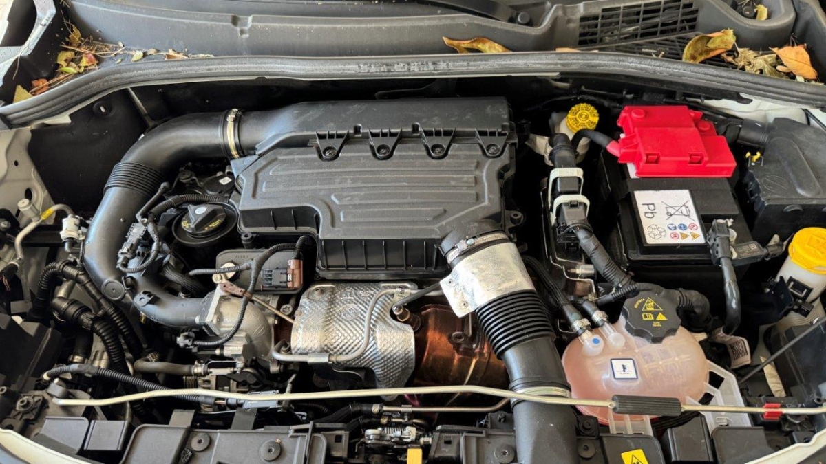 T12