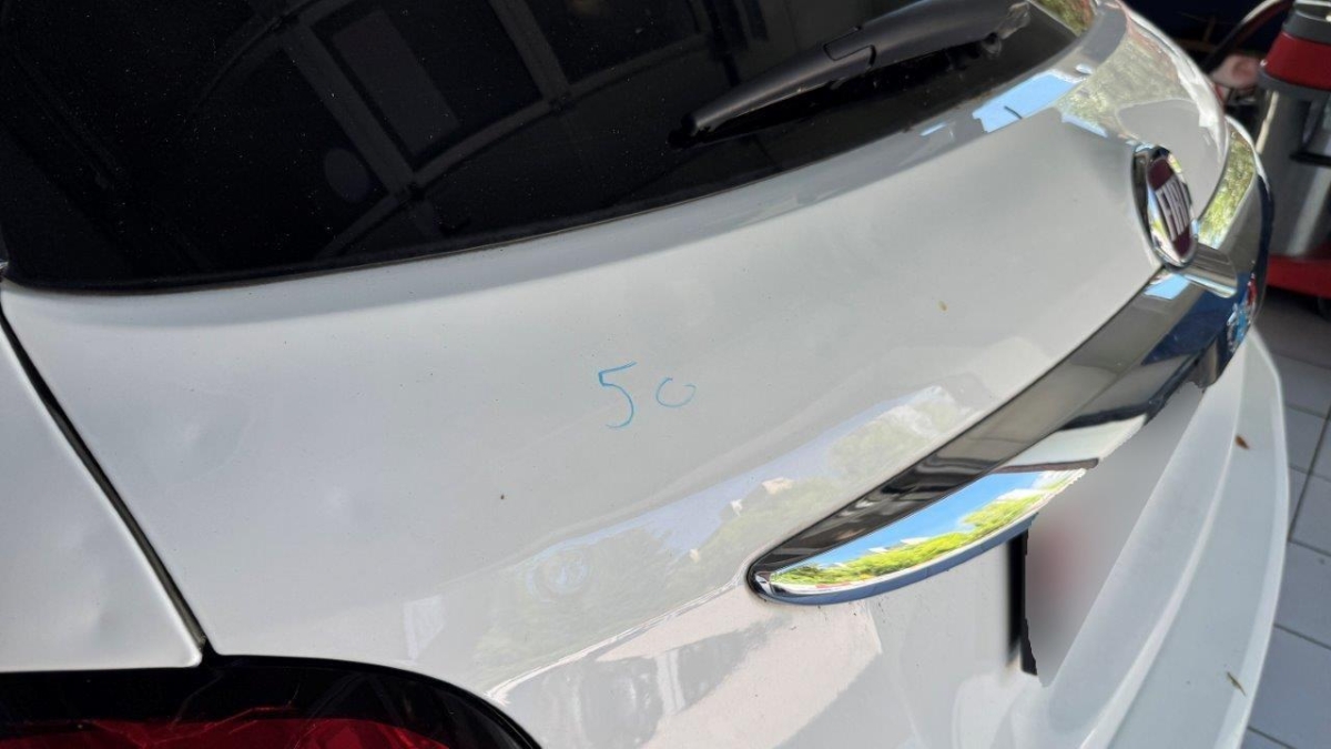 T13