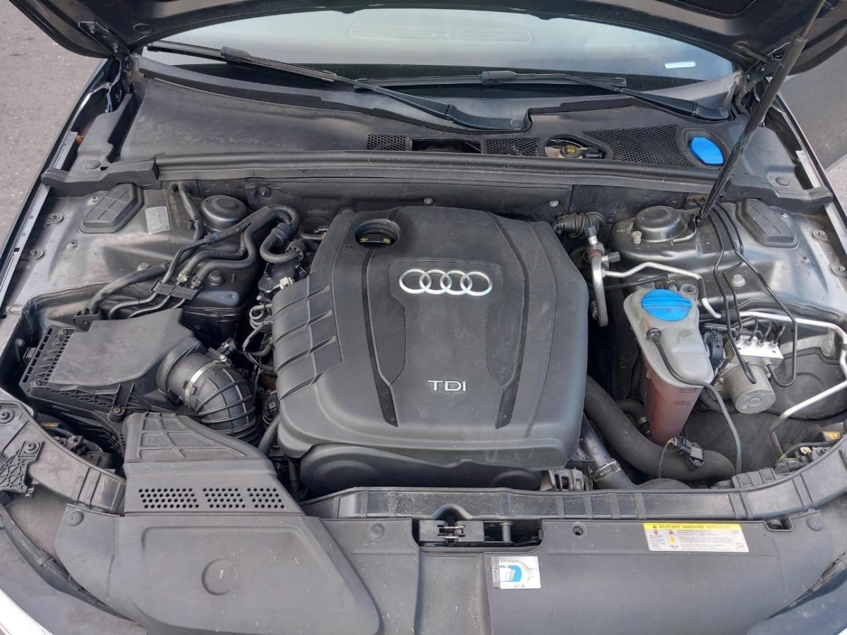 T13