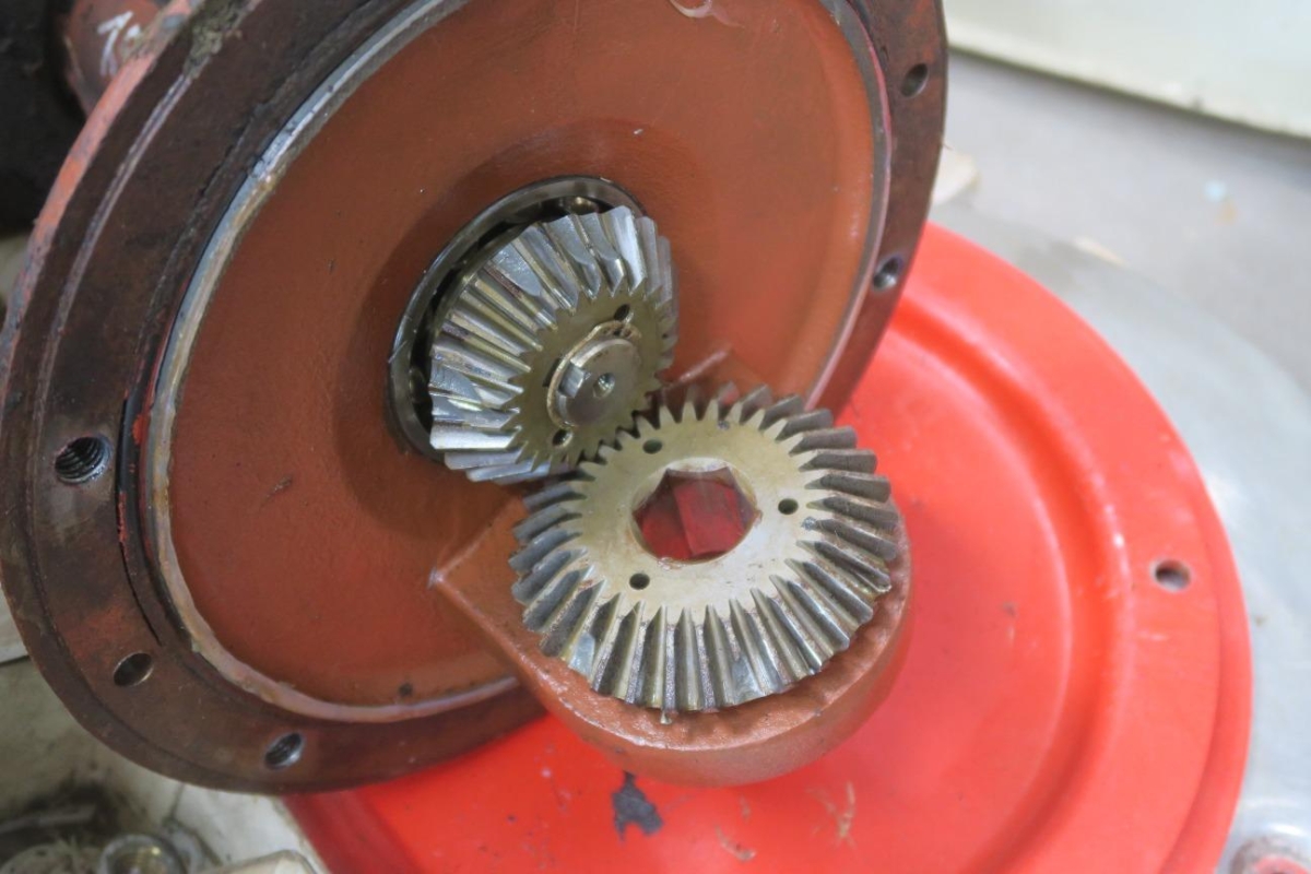 T12