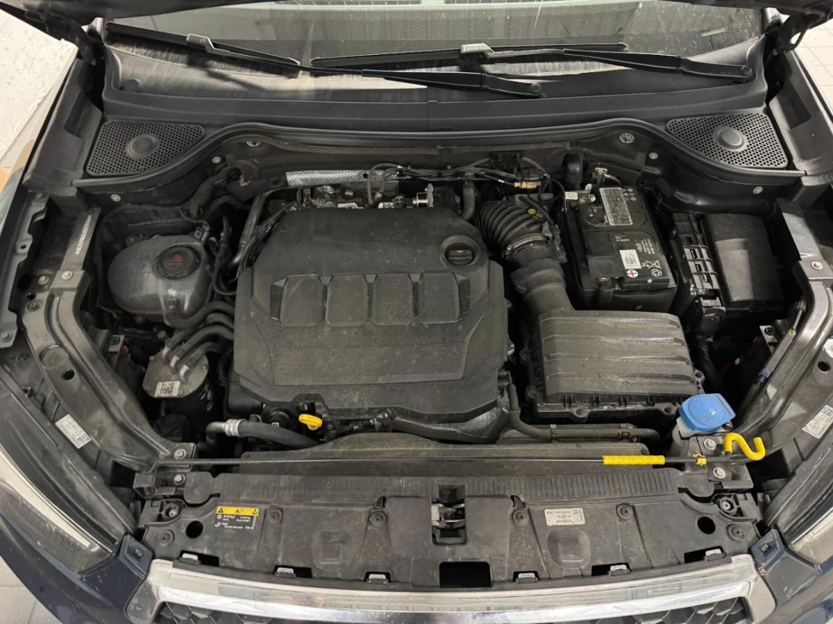 T11