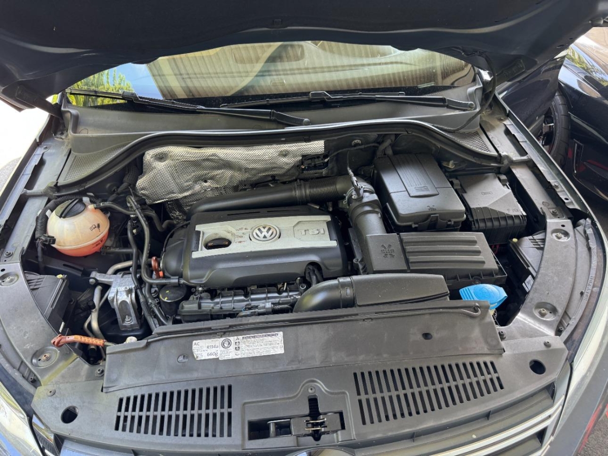 T13