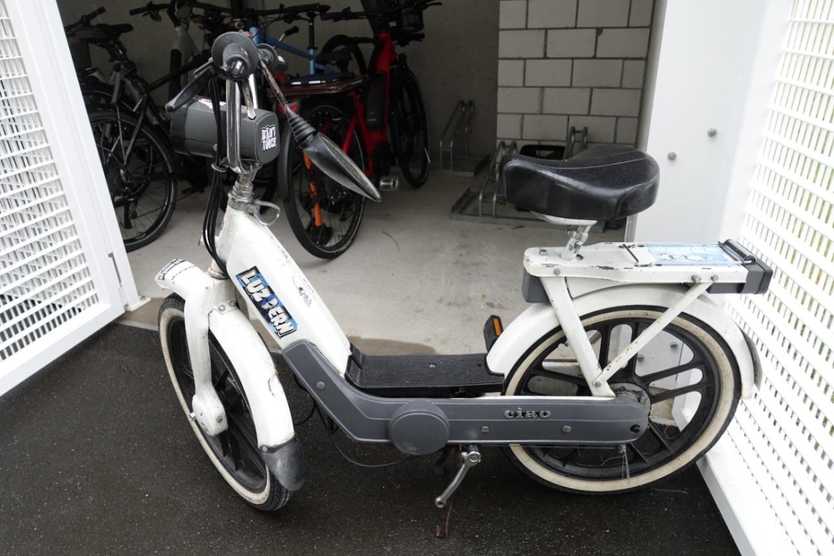 T5