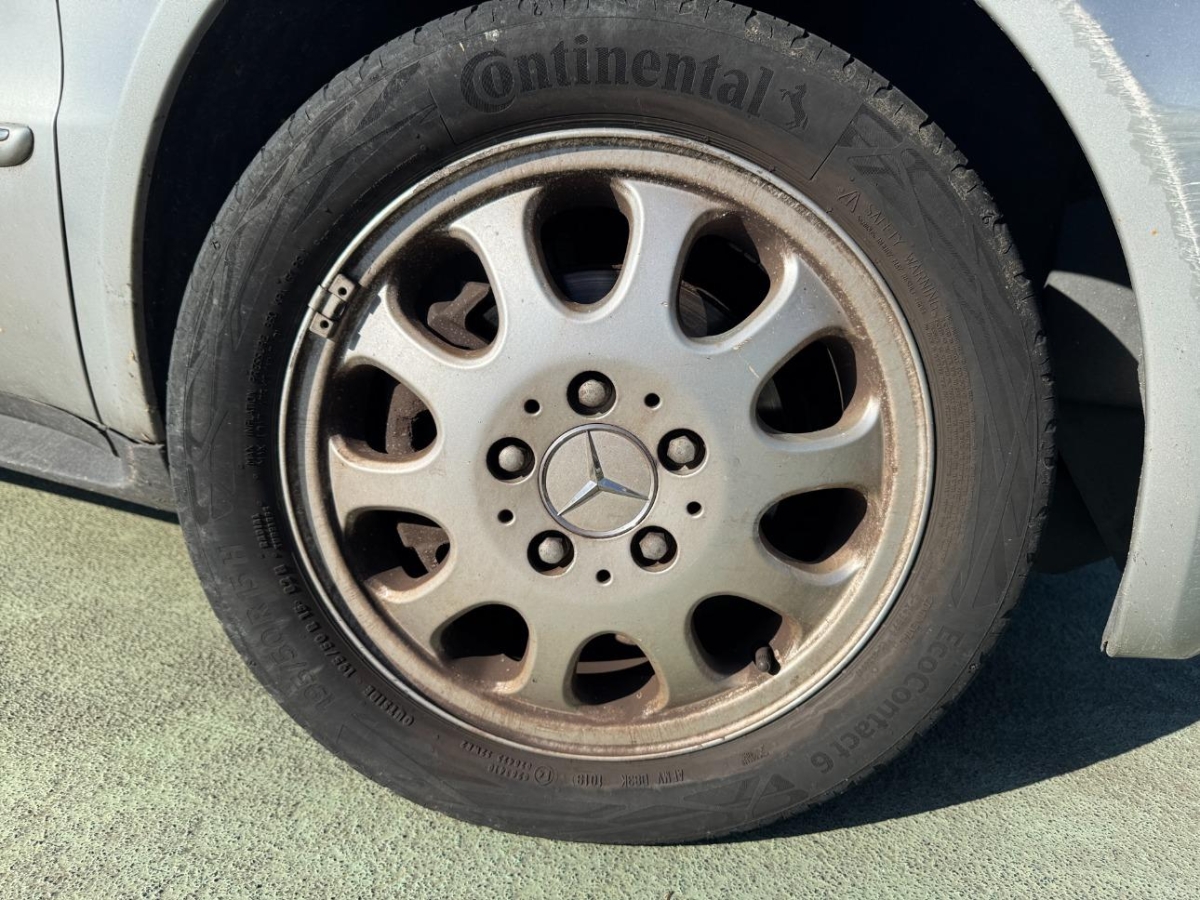 T19