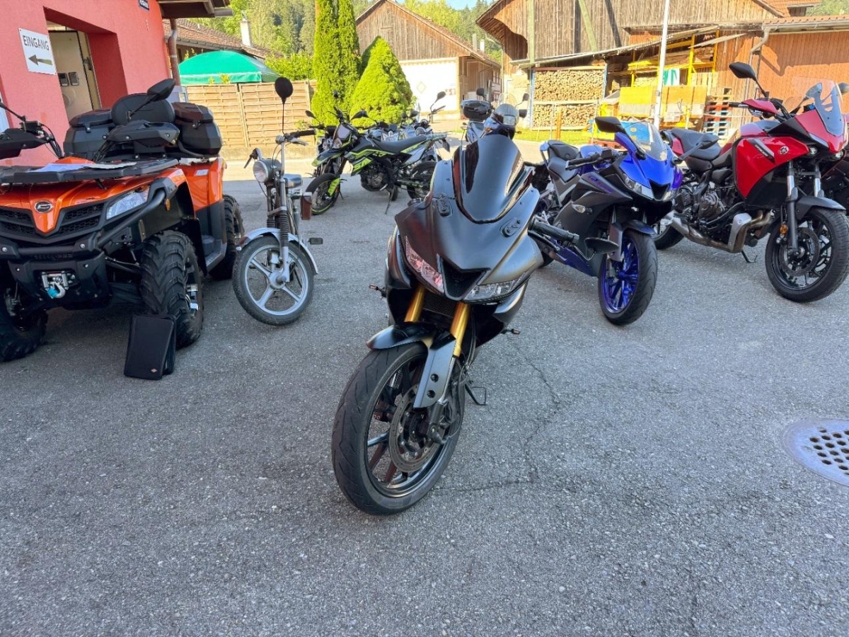 T5