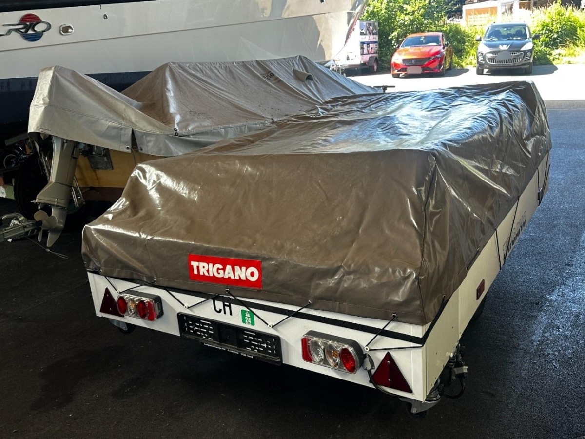 T3