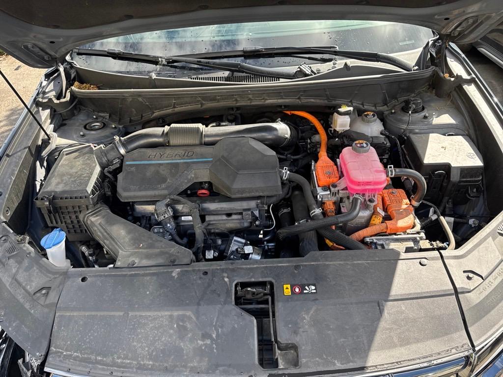 T16