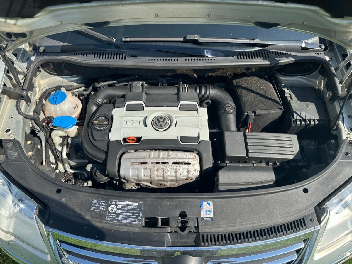 T17