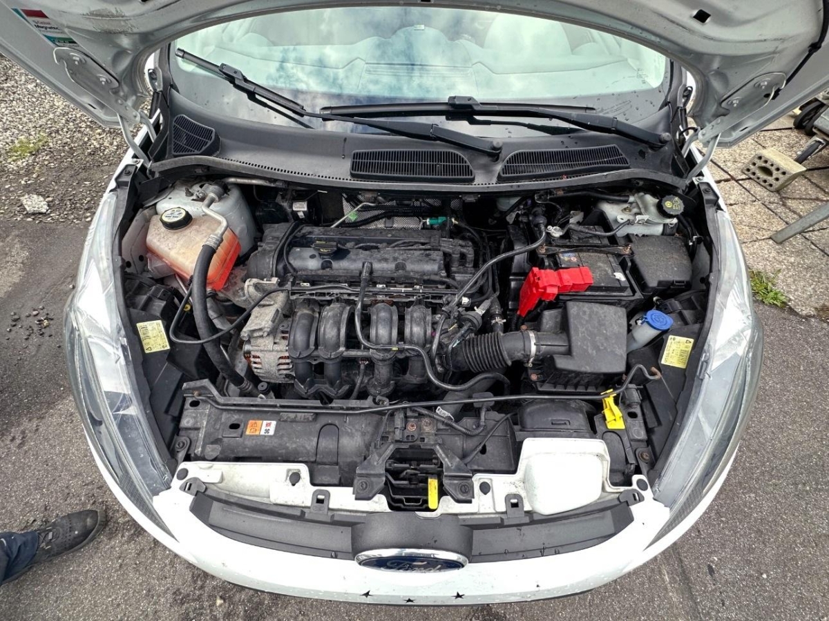 T11