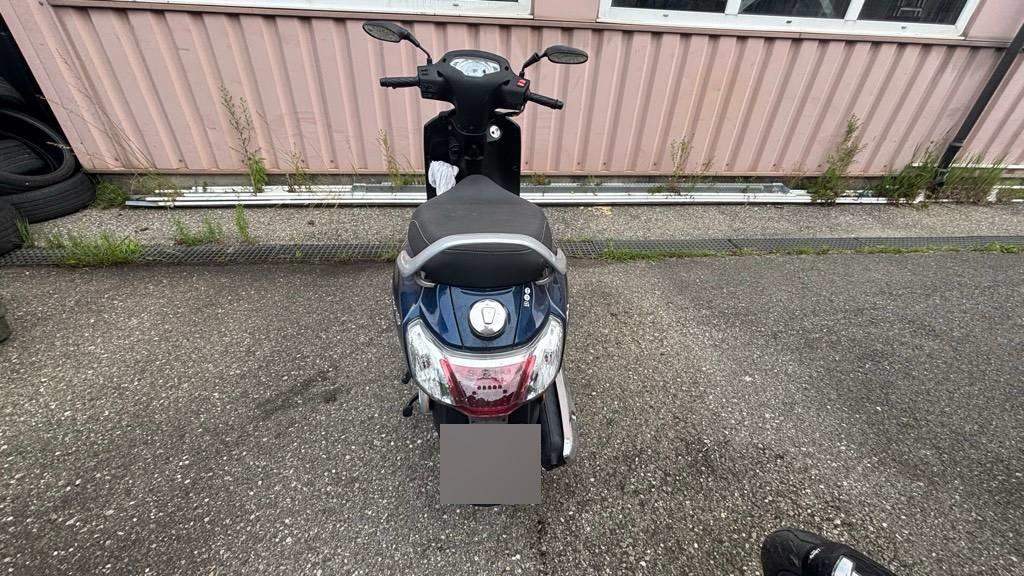 T5