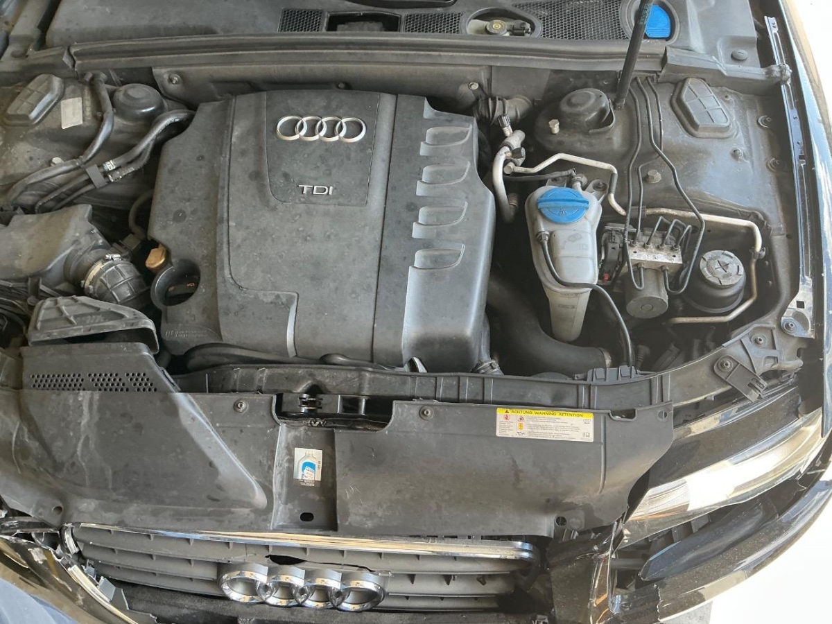 T11