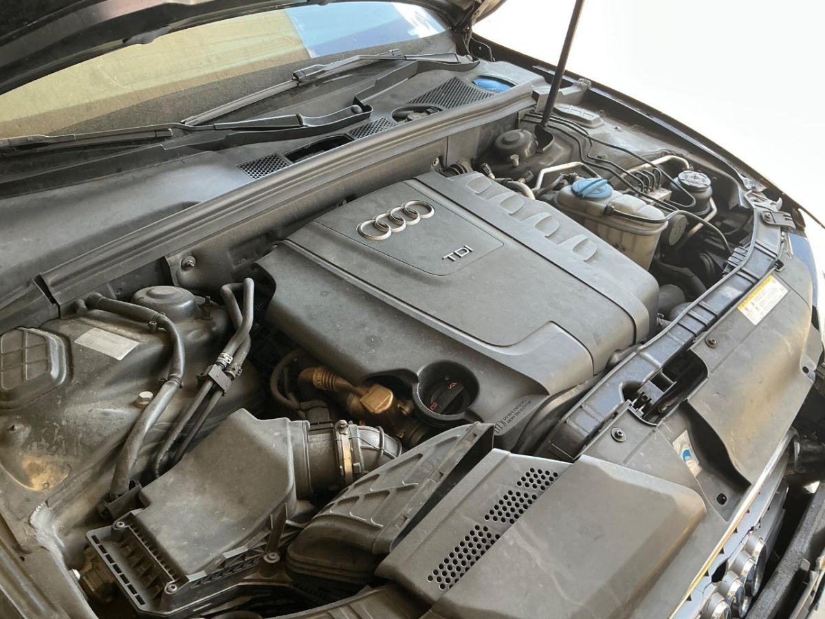 T12