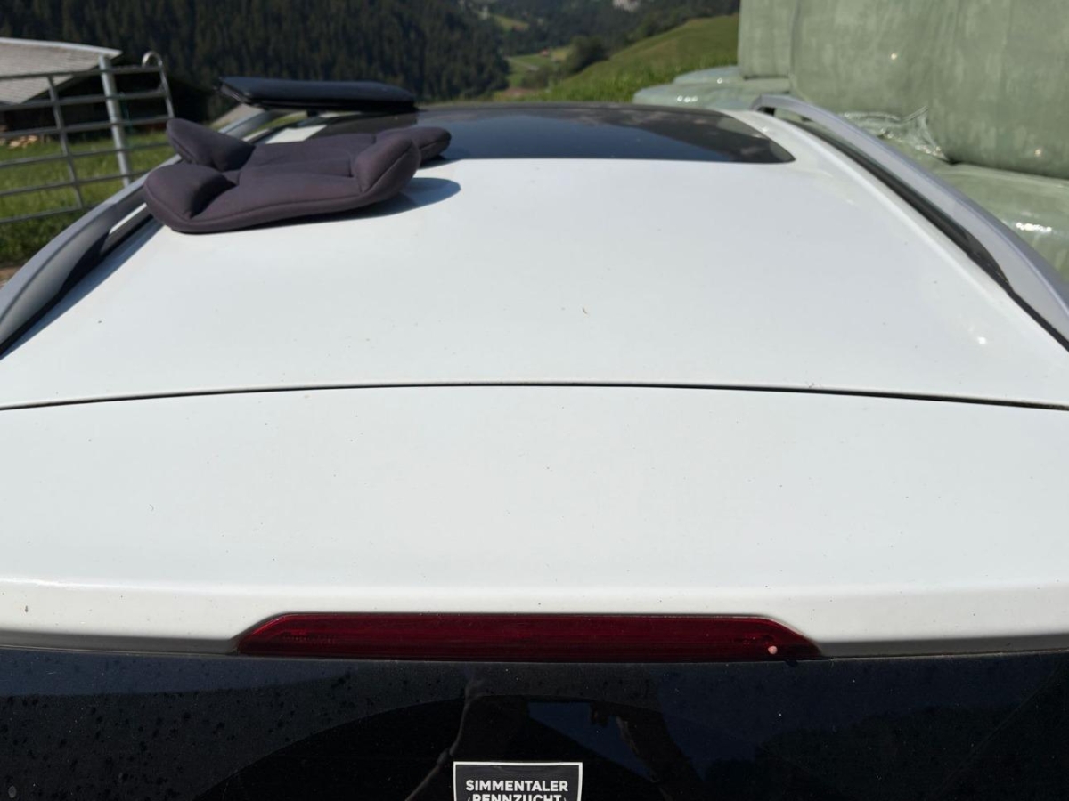 T13