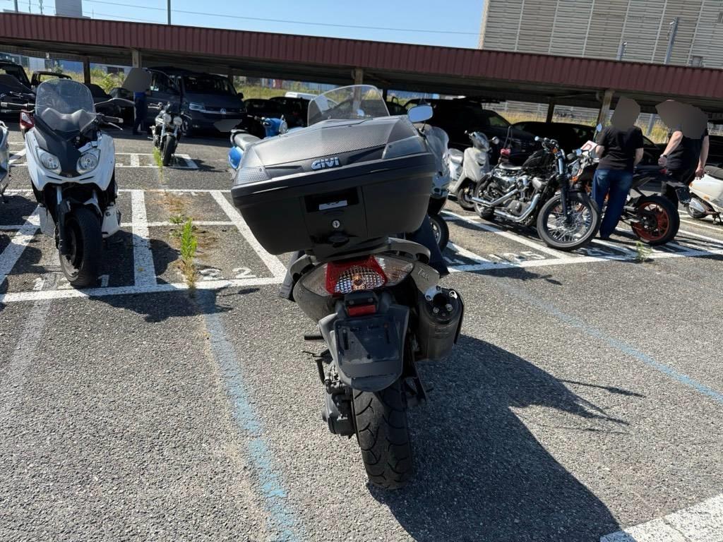 T6