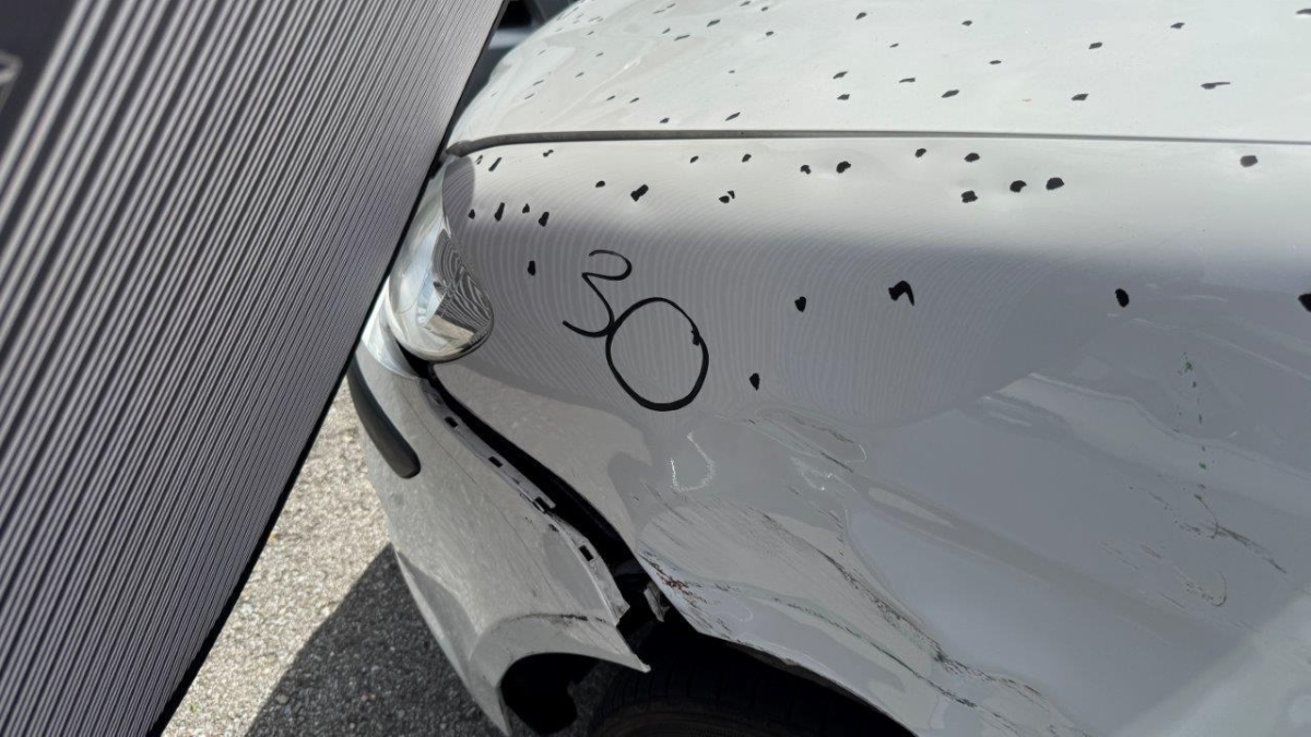 T13