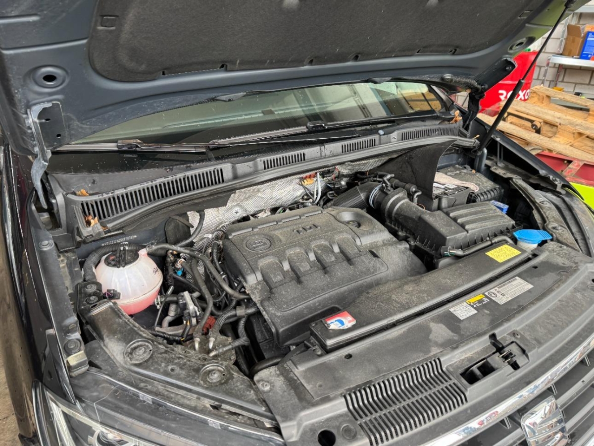 T18