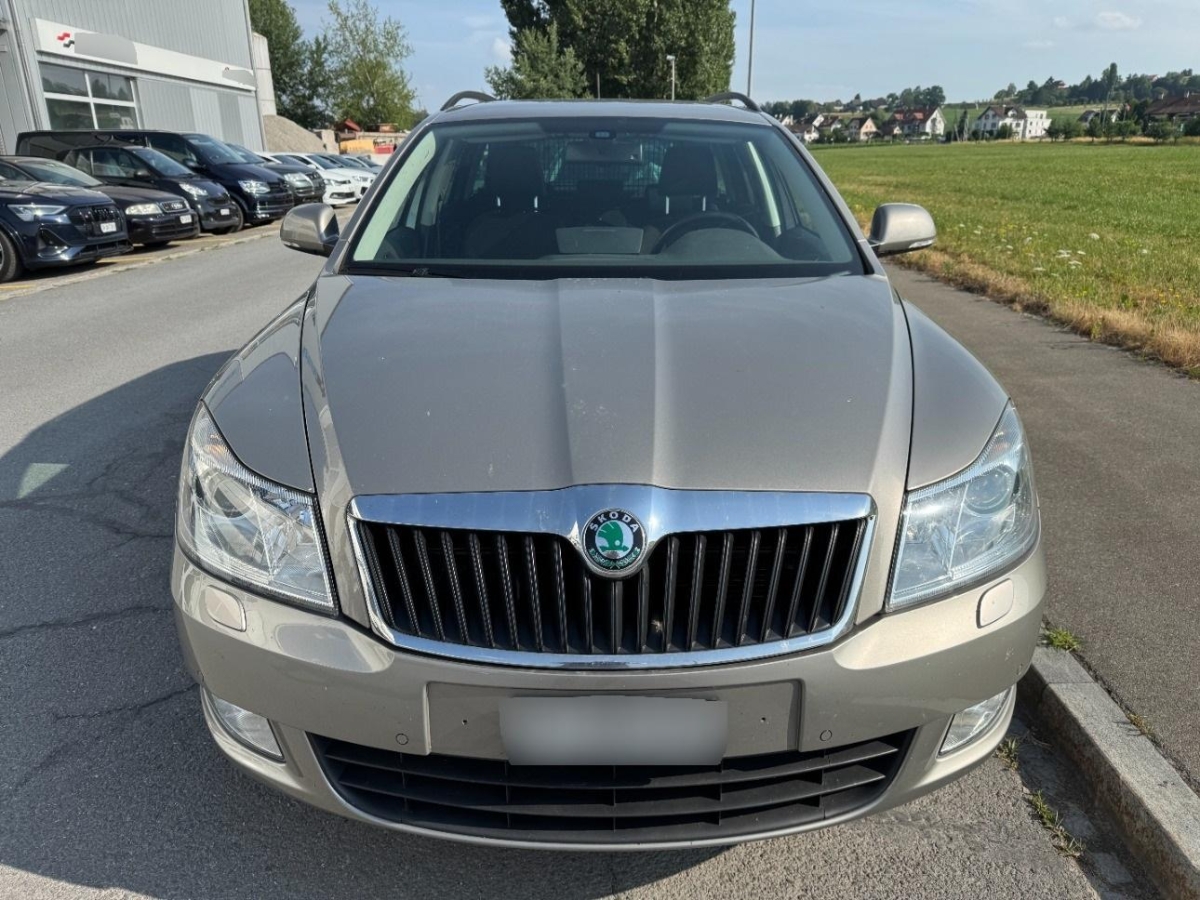 T5