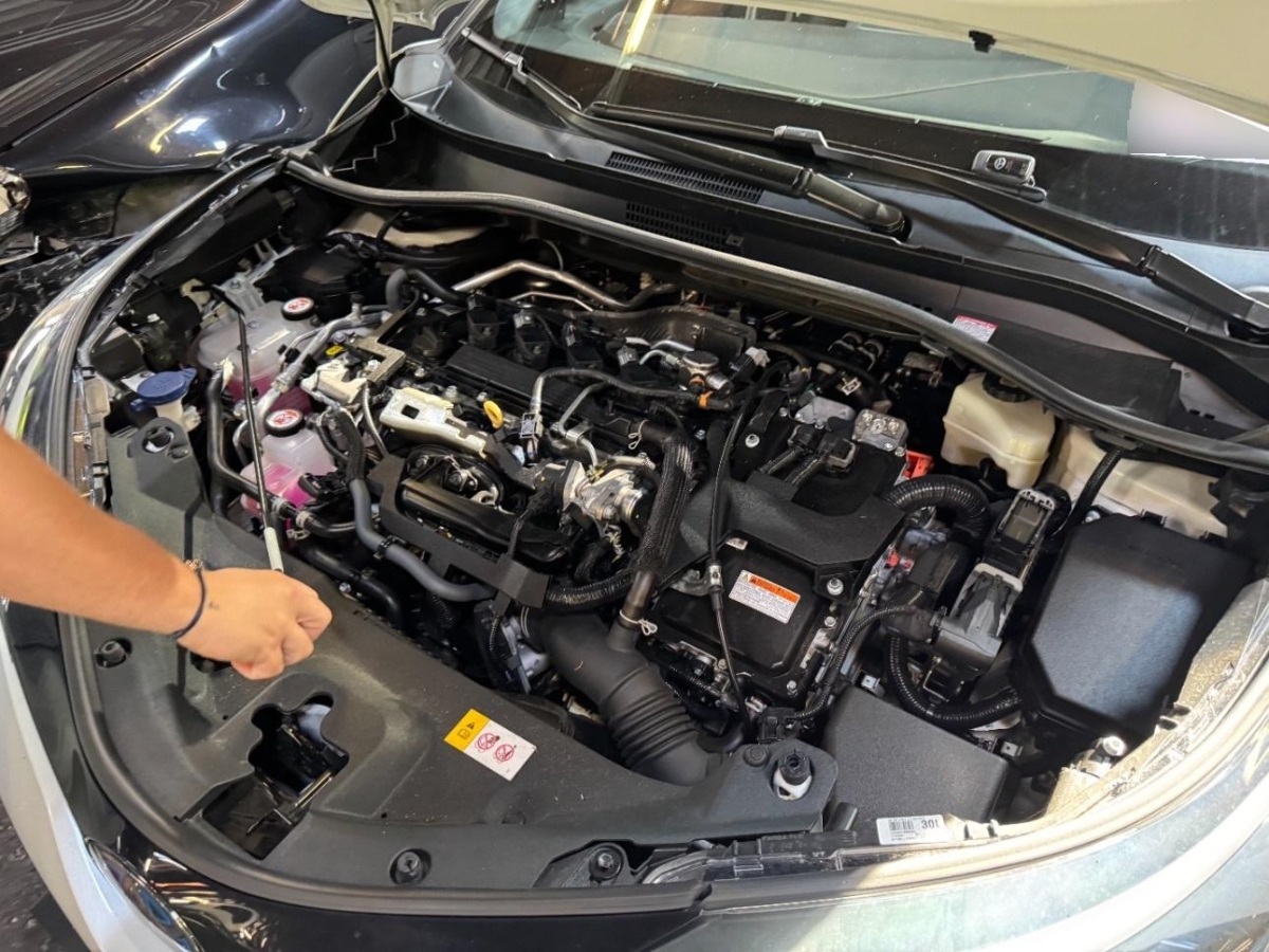 T12