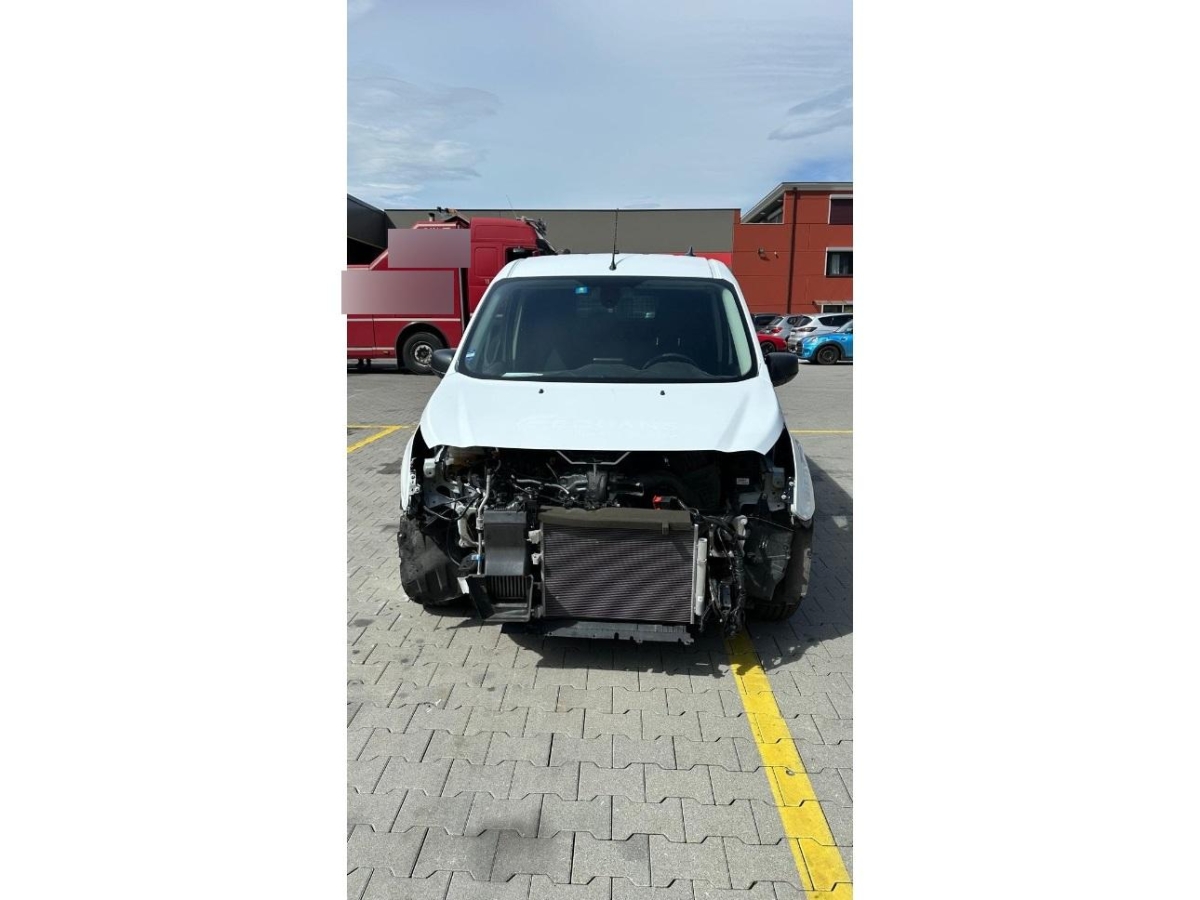 T1