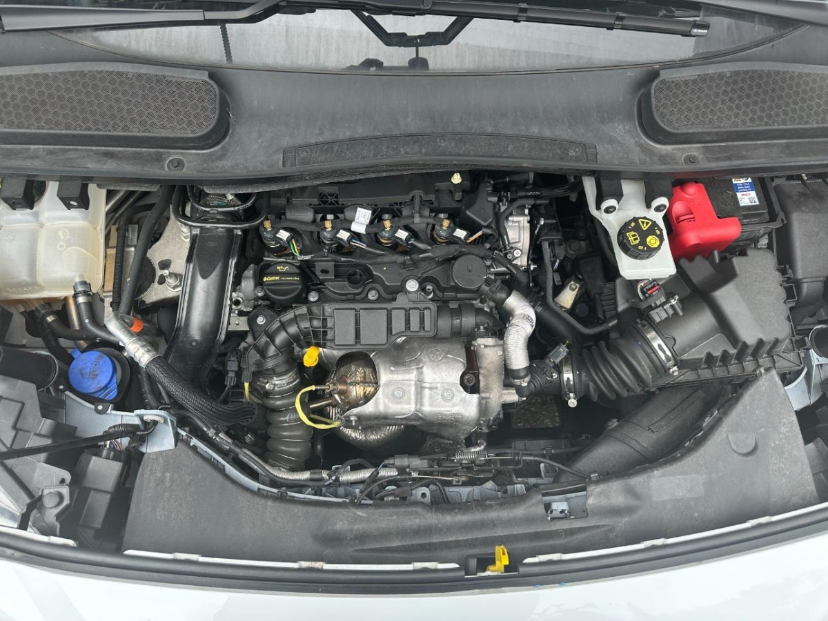 T11