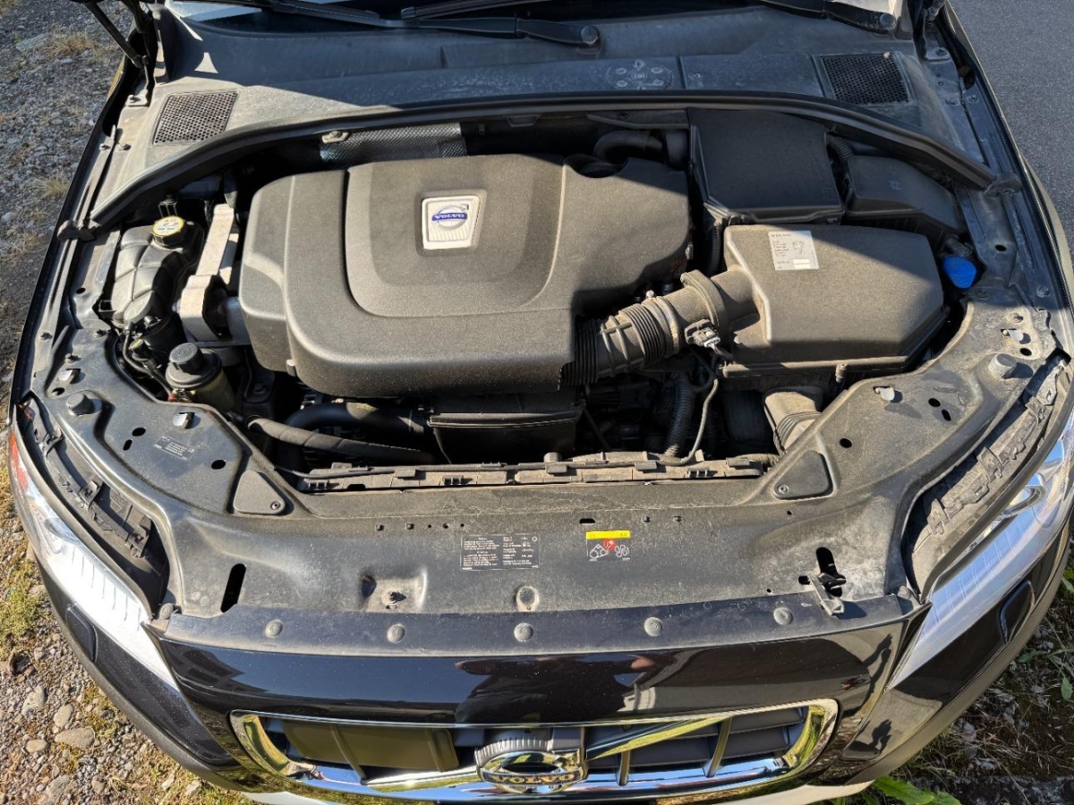 T11