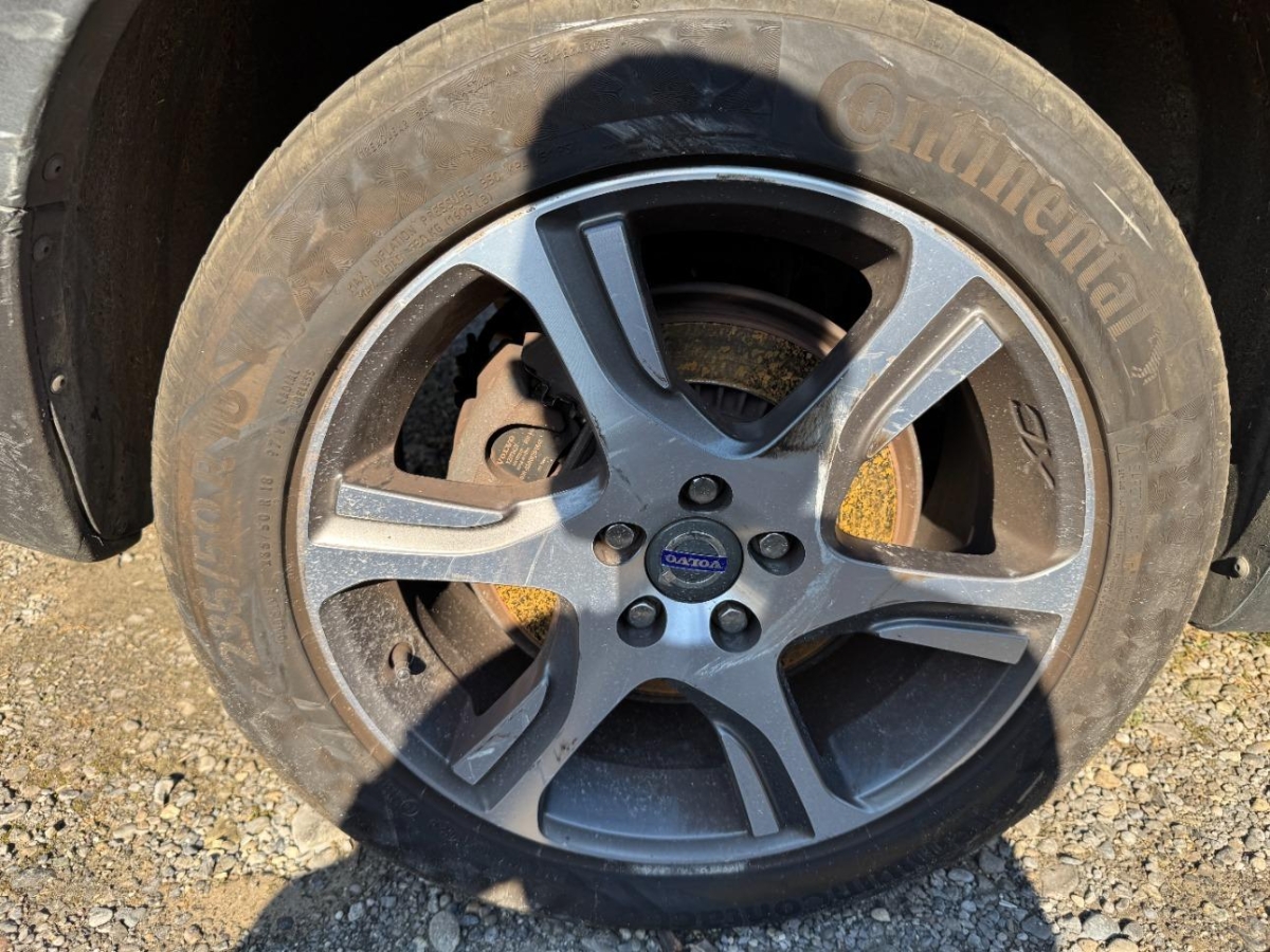 T19