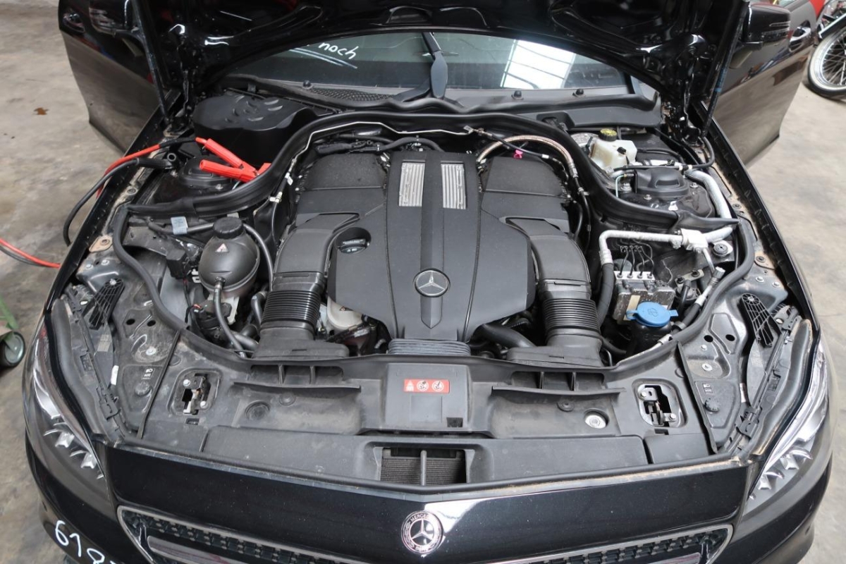 T11