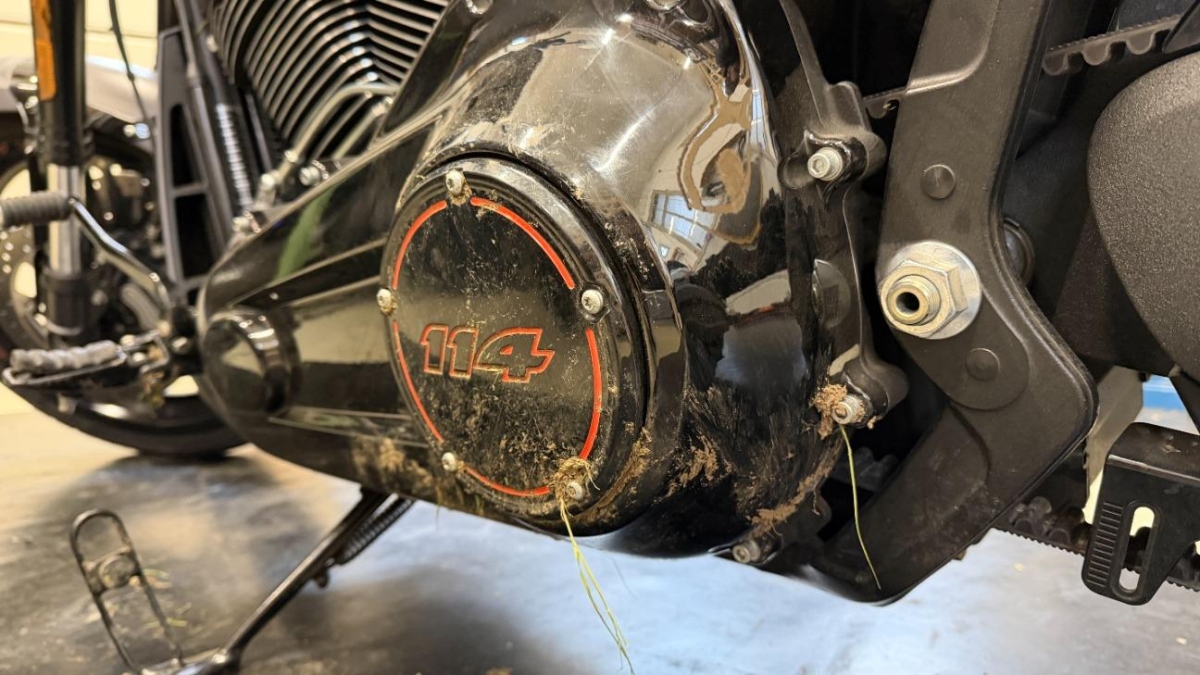 T16