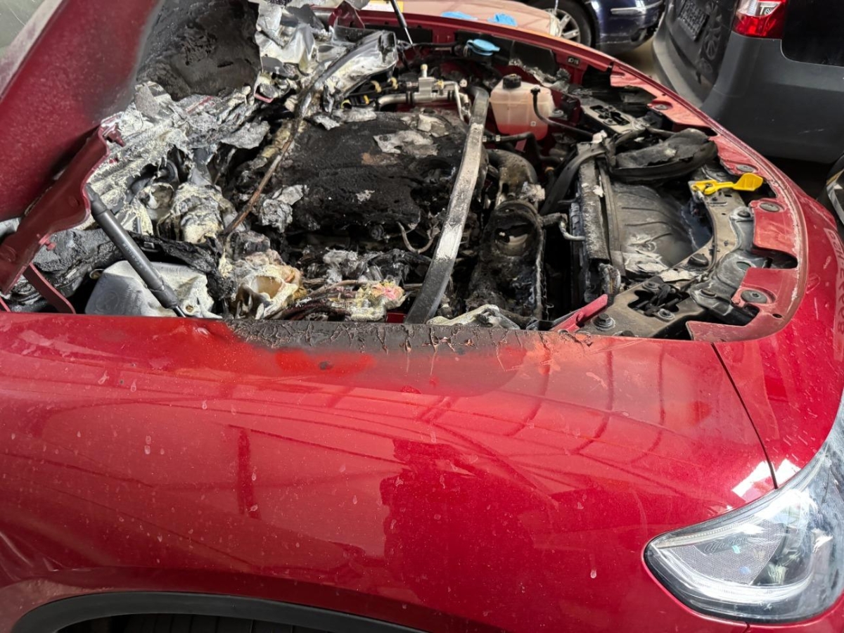 T13