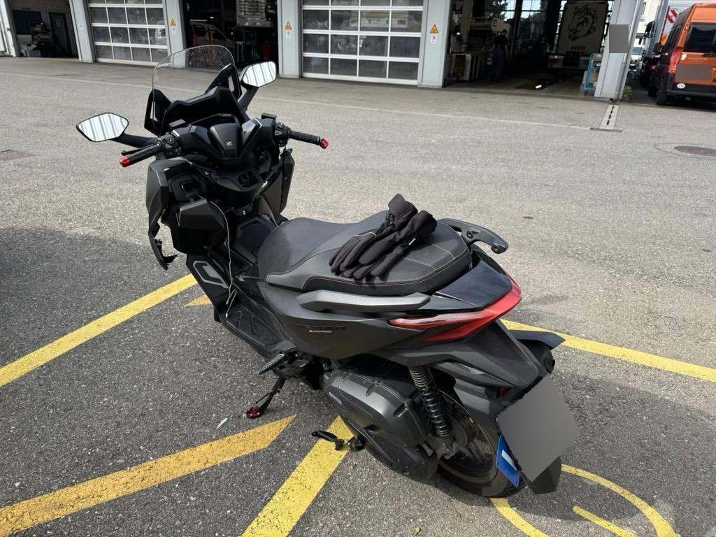 T6