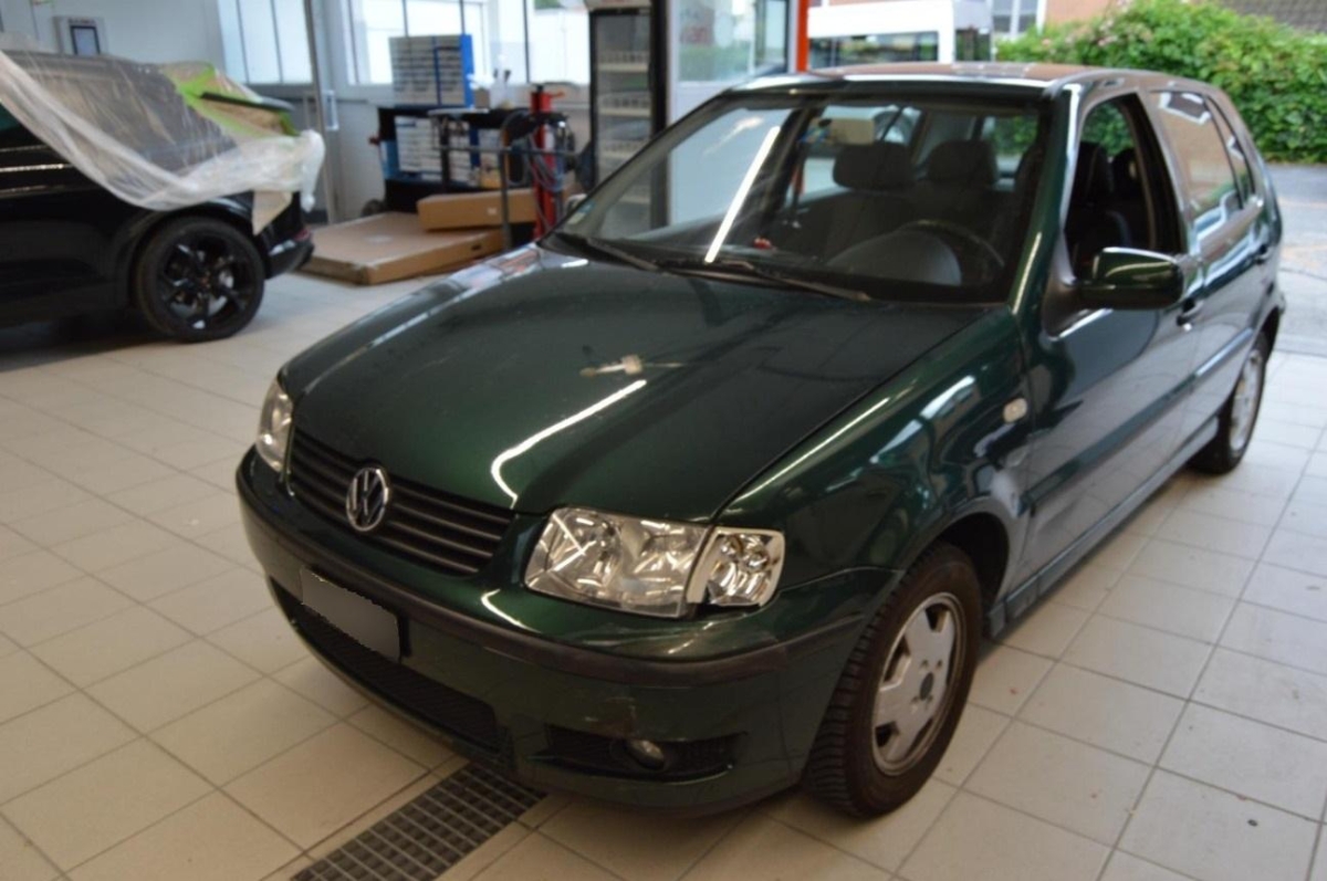 T6
