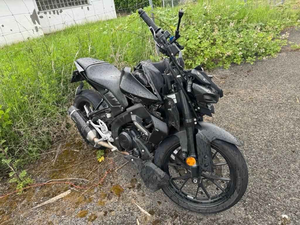 T1