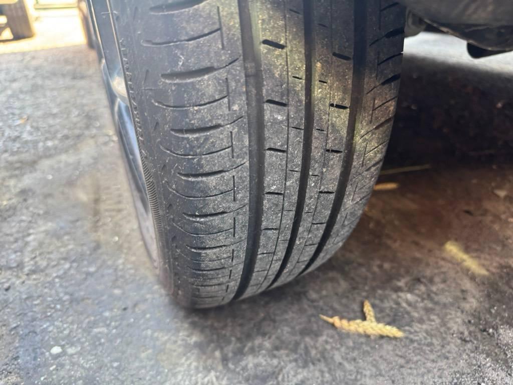 T19